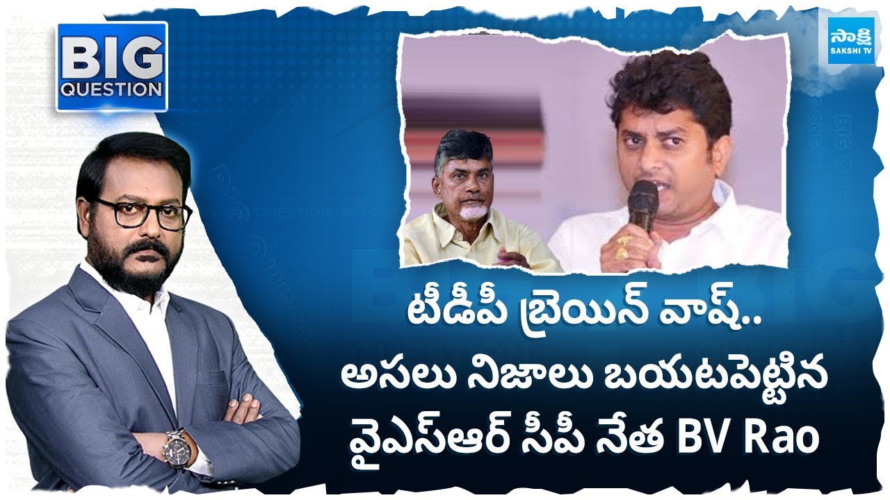 YSRCP Leader CA BV Rao About TDP Leaders Brain Wash to Voters | AP ...