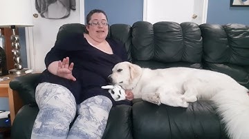 Breeding Rabbits Responsibly - Crossbreeding Is Not Recommended, But It Can Be Done