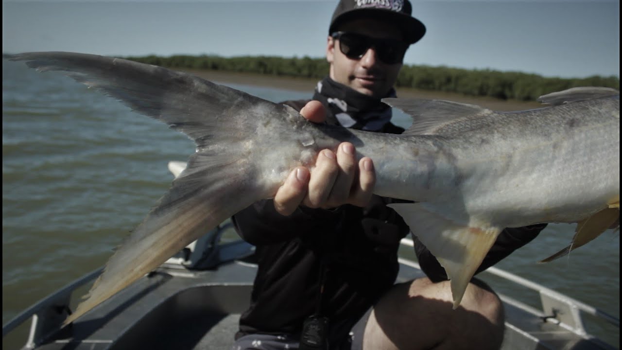 Sight Casting Threadfin Salmon YouTube