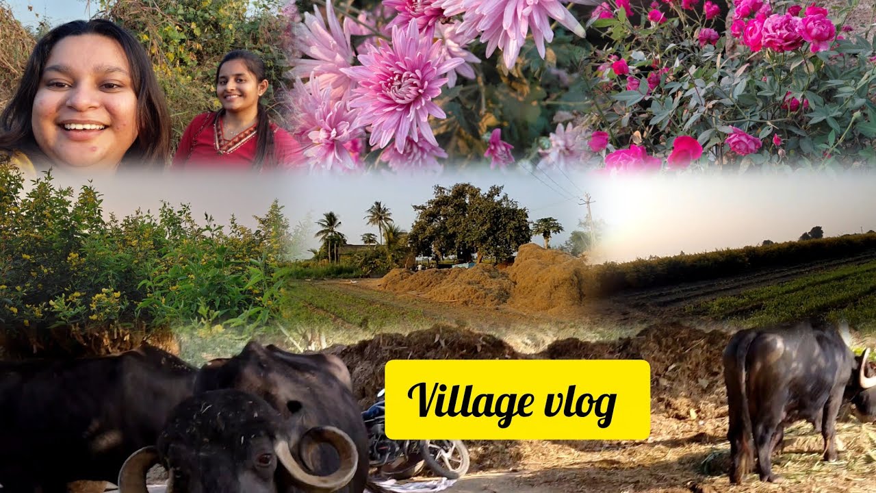 Village vlog 