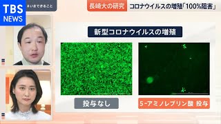 “変異ウイルス”クラスター ９県で１１人感染【news23】