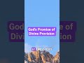 God's Promise of Divine Provision #morningprayer #dailydeclaration #godpresence od's Promises