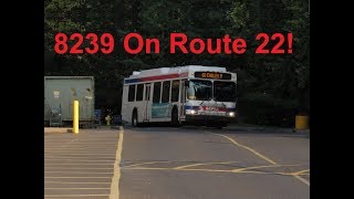 NeoplanDude | SEPTA 2009 New Flyer DE40LF #8239 On Route 22, To Olney Transportation Center!