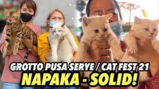 MGA SOLID NA PUSA SA GROTTO PET MARKET | FEBRUARY 04, 2024