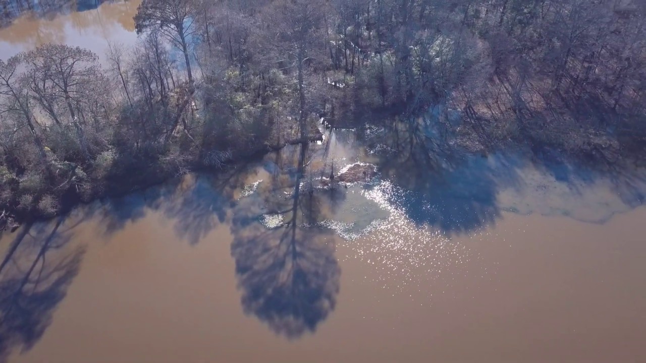 Viral Swamp in Stonewall Louisiana YouTube