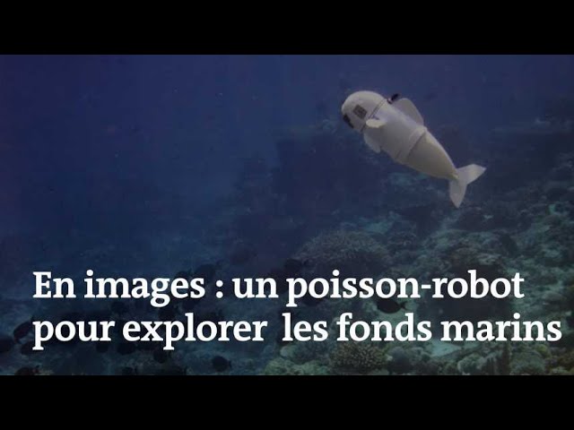 Le MIT a conçu ce nouveau poisson-robot pour explorer les fonds