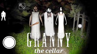 Granny the cellar v1.0 fan made speed up full gameplay | link in description screenshot 5