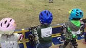 Wildrunnercup 9th Run 5歳後半 B決勝 A決勝 下克上 Wrc ワイラン ストライダー Strider ランバイク ワイルドランナー Hofugrown 18 Youtube Wildrunnercup 9th Run 5歳後半 B決勝 A決勝 下克上 Wrc ワイラン ストライダー Strider ランバイク ワイルドランナー Hofugrown 18 Youtube