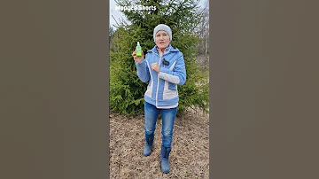 ТРИ В ОДНОМ ФЛАКОНЕ НОГИ НЕ ПАХНУТ КЛЕЩИ НЕ КУСАЮТ КОМАРЫ НЕ ЛЕТАЮТ