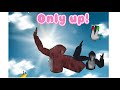 Only up! En gorila tag!!! | Pajaro