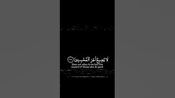 تلاوة هادئة تريح الأعصاب 😴🎧 | : القارئ : إسلام صبحي | سورة | هود | الأية 115.