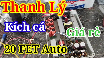 Thanh lý kích cá 20 FET Auto hàng khủng chuyên kinh tế,, Giá rẻ 50%LH 0399477852