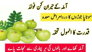 Amla Khane Ke Fayde Muraba Amla Ke Fayde in Hindi Urdu