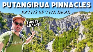 New Zealand's WILDEST Landscape! Putangirua Pinnacles (Lord of the Rings)