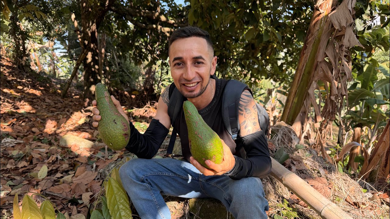 La variedad de aguacate ￼🥑 que está por desaparecer😔🙏