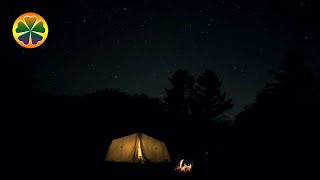 Звуки Ночного Леса Звук Костра Сказочная Ночь В Палатке