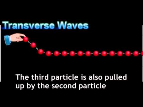 Part1-Types of waves.wmv