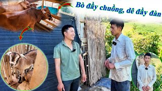 Ngỡ Ngàng Trước Khối Tài Sản Hiện Tại Của Em Cơ Khuyết Tật