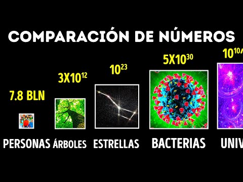 Comparación de números