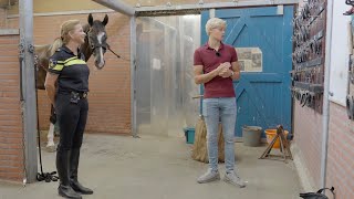 Behind the scenes at the Mounted Police Stables