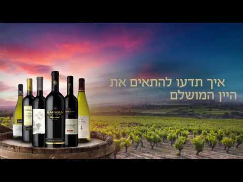 וִידֵאוֹ: כיצד אוכל לשווק את היין שלי באינטרנט?