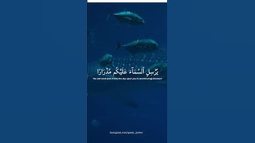 Syaikh Yasser Al-Dosari (الشيخ ياسر الدوسري) | Surah Nuh |سورة نوح  | Nuh
