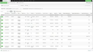 Excel Report Templates - Aucerna Execute