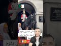حصان ملكي أنكليزي يهاجم كل من يقترب اليه الاأمرأة جزائرية شاهد مافعله معها حصان ملكي أنكليزي يهاجم كل من يقترب اليه الاأمرأة جزائرية شاهد مافعله معها