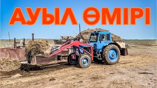 картинка: КӨКТЕМГІ ЖҮМЫСТАР | АУЫЛ ӨМІРІ | ЖИЗНЬ В ДЕРЕВНЕ #ауылөмірі #қазақстан #жылкылар #қой #айғыр #асау
