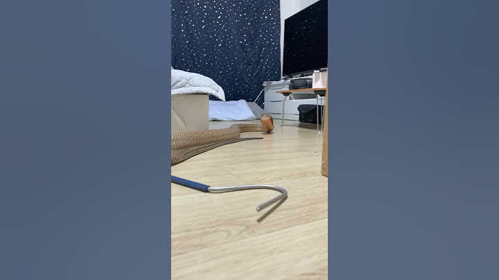 우리나라에서 가장 큰 코브라. 손으로 때렸더니