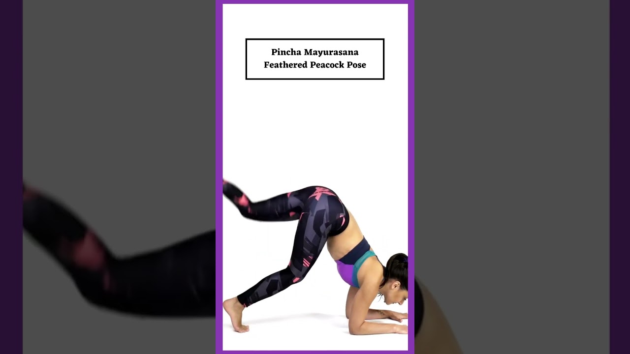 Amazon.com: Womens Yoga Forearm Stand Feathered Peacock Pose Sun V-Neck  T-Shirt : Clothing, Shoes & Jewelry