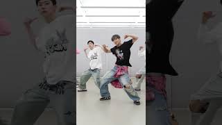 Mirrored P1Harmony Pretty Boy 피원하모니 Chorus Challenge
