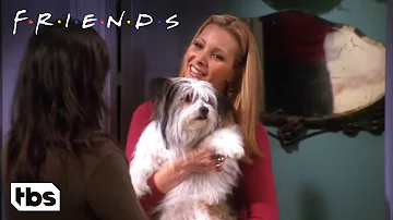 Chandler Doesn’t Like Dogs (Clip) | Friends | TBS