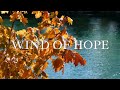 밝고 희망찬 오케스트라 음악 | Wind of Hope | 희망의 바람 | Hopeful BGM