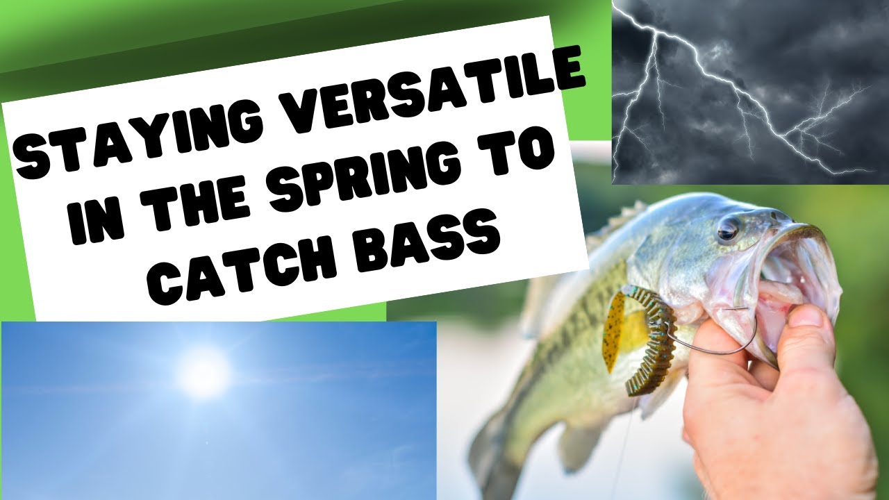 Stay Versatile to Catch Bass in the Spring (catches 386 to 392) - YouTube