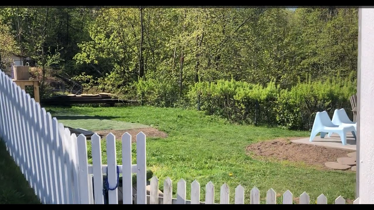 Garden project, trip to the Norwegian racecourse and a foal birth #5