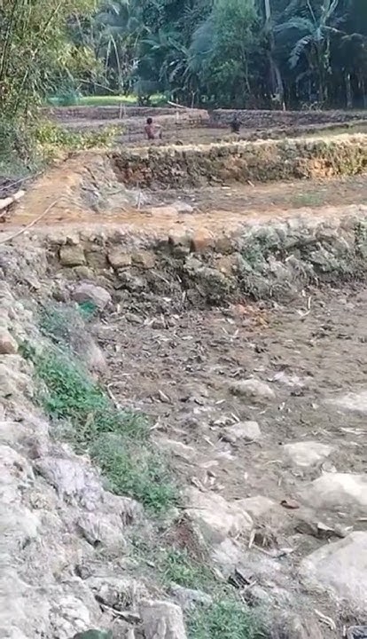 fish-farming-fish-pond-preparation-shorts-youtube