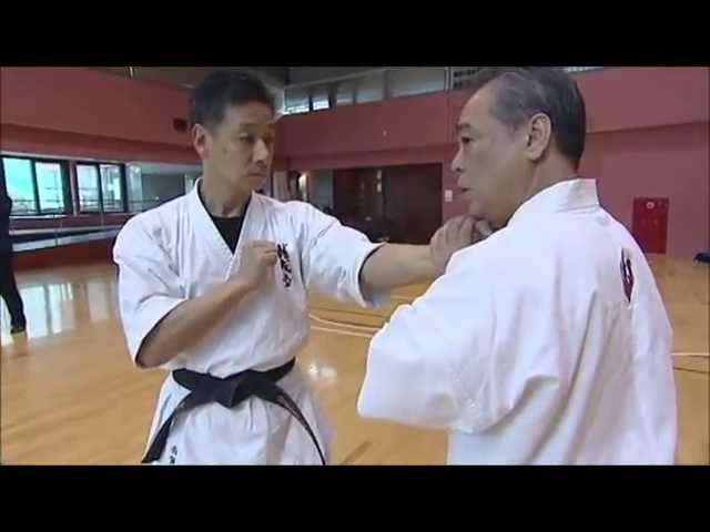 剛柔流空手道拳法奥伝 型に隠された実戦技セミナー セーパイkaratedo Youtube