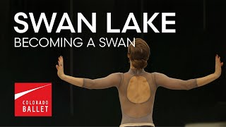 Famous SWAN LAKE | Becoming a Swan | Principal Jennifer Grace Net Worth