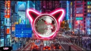 PENJAGA HATI || ARI LASSO DJ REMIX FULL SLOW BASS