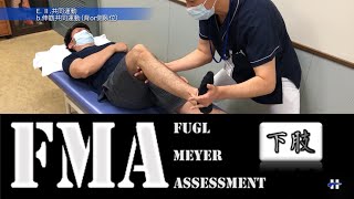 【脳卒中片麻痺評価/FMA】下肢Fugl Meyer Assessment