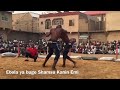 Kalli Wata Muguwar Kisa Da Ebola Doki Yaima Shamsu Kanin Emi Danna Subscribe Kawai ZuMudihausaTV Kalli Wata Muguwar Kisa Da Ebola Doki Yaima Shamsu Kanin Emi Danna Subscribe Kawai ZuMudihausaTV