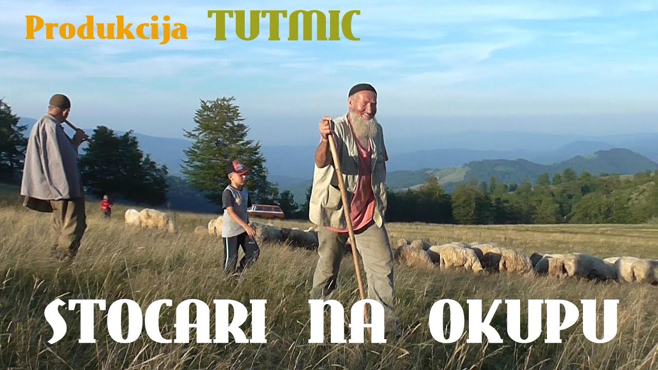 STOČARI NA OKUPU (Planina Pašinac )