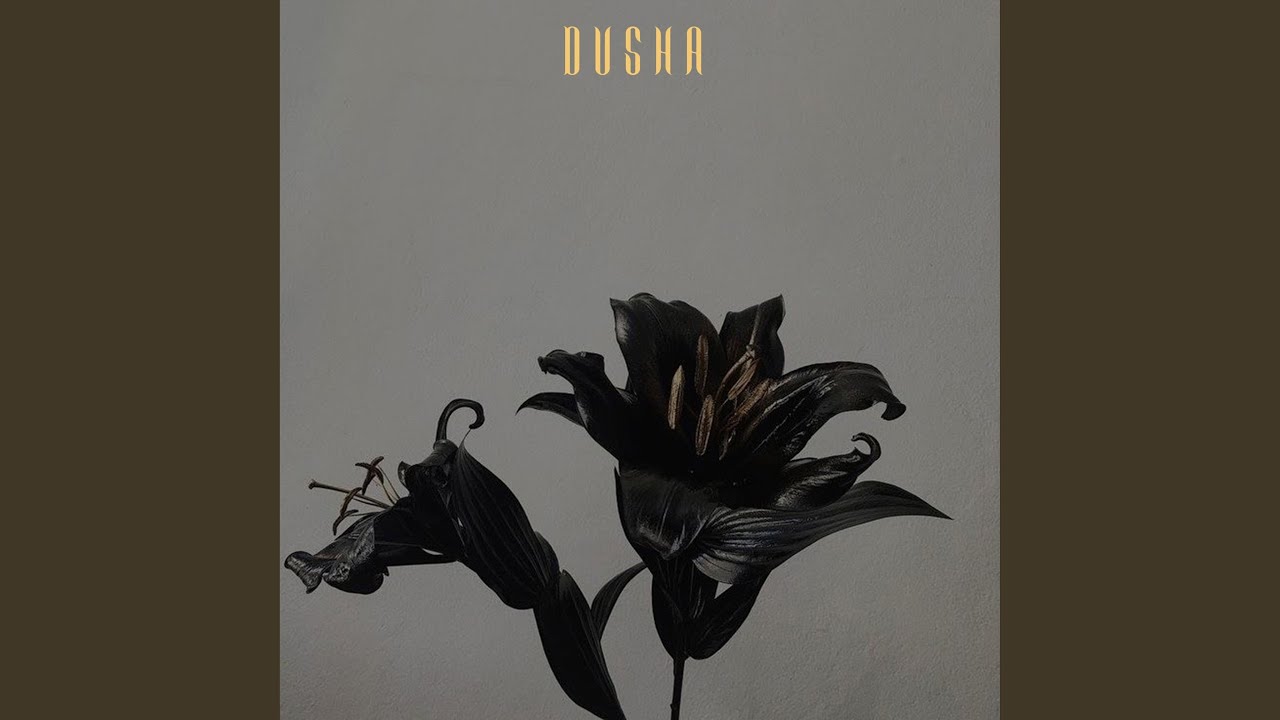 Guarda Valkiry su YouTube Guarda Valkiry su YouTube