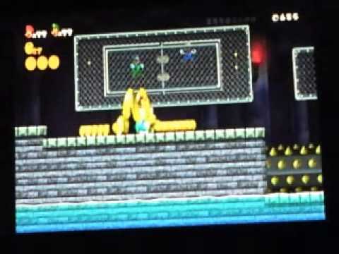 Newスーパーマリオブラザーズwii 4 城 コイン無限増殖バグ Youtube
