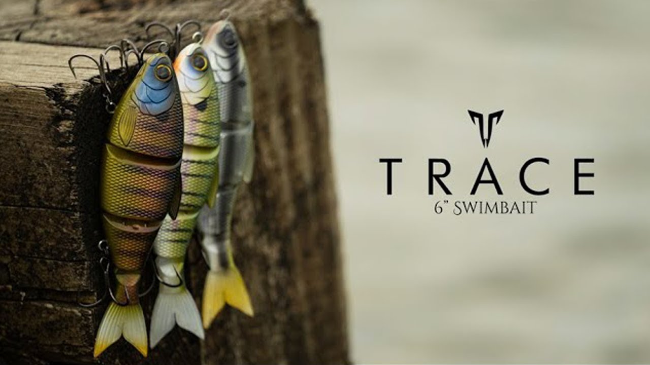 The new 6 inch Whale swimbait is available from 6th Sense Fishing