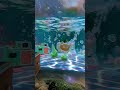 Kingyo-bachi (Official Video) out now! 「家」という閉じた宇宙を旅するMV公開🫧 #newmusic #maikaloubté #electronicmusic
