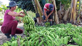 A melhor receita de banana verde para fortalecer as crianças