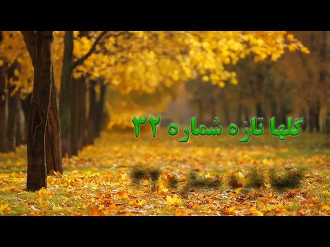 گلهای تازه برنامه شماره ۳۲