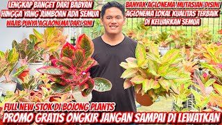 BOJONG PLANTS HADIR DENGAN AGLONEMA MUTASIAN‼️